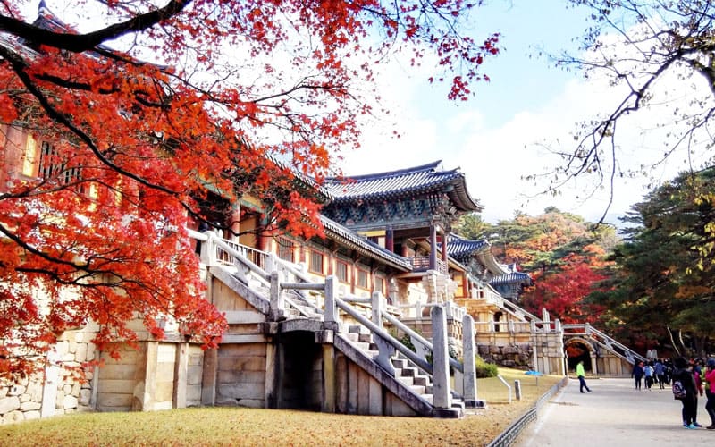 Bulguksa Temple Gyeongju Fall Foliage