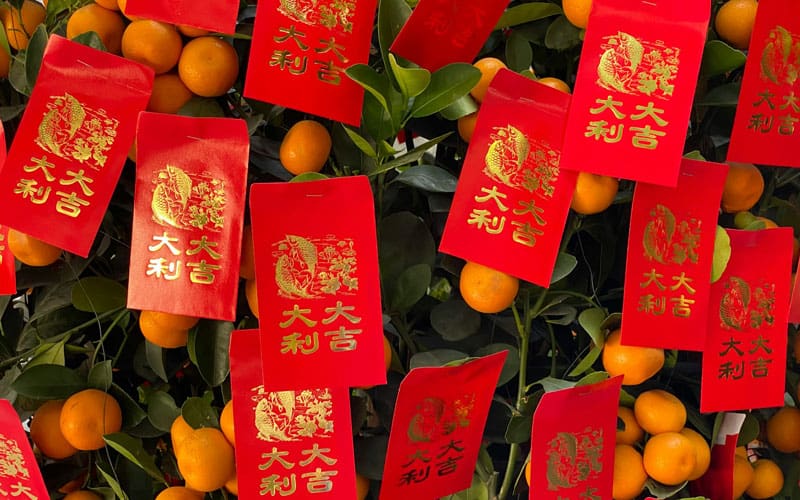 Chinese New Year Decorations Red Envelopes on Tangerine Tree