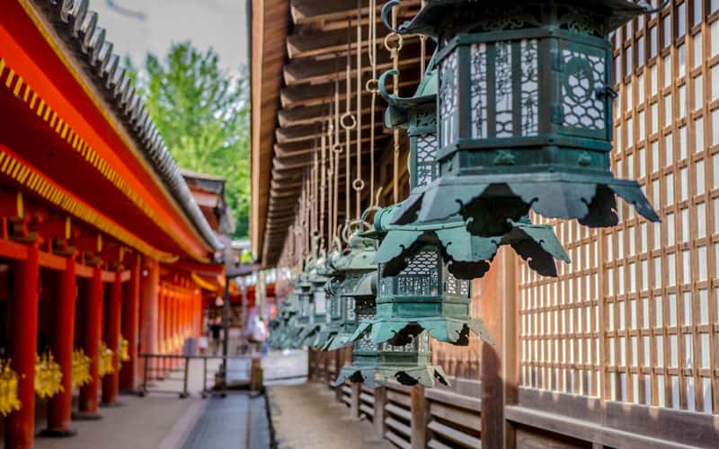 Kasuga Taisha Shrine Lanterns