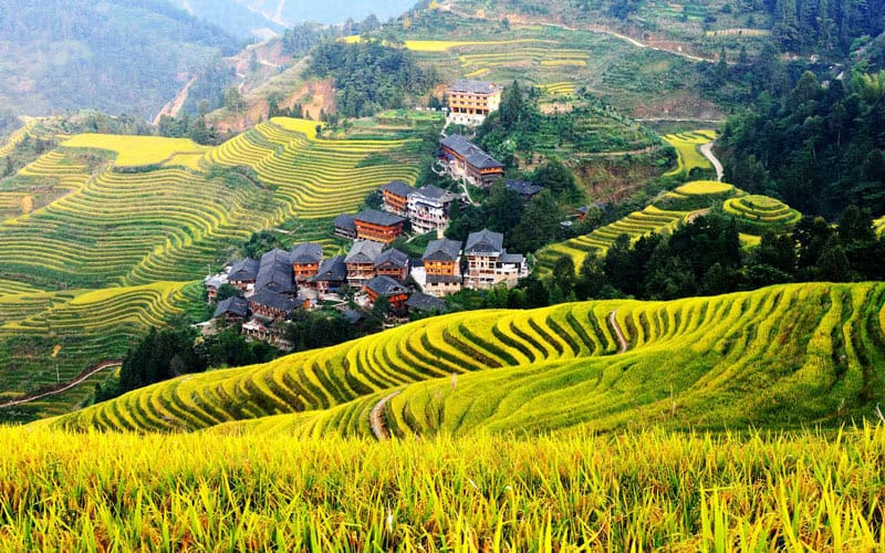 Guilin Longji Rice Terraces