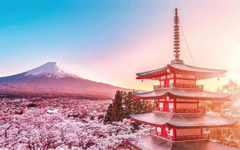 Mount Fuji Cherry Blossom Distant View