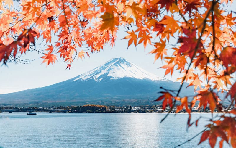 Japan Mount Fuji Fall Foliage