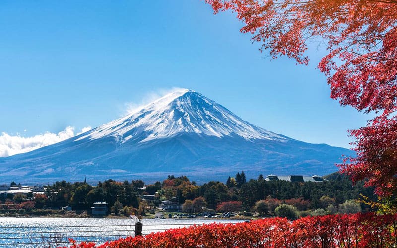 Snow Covered Mount Fuji Fall Foliage