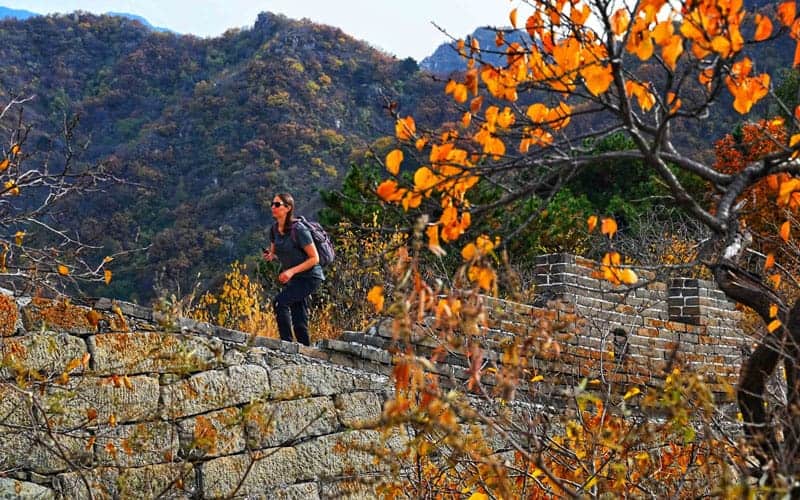 Autumn Scenery Mutianyu Great Wall