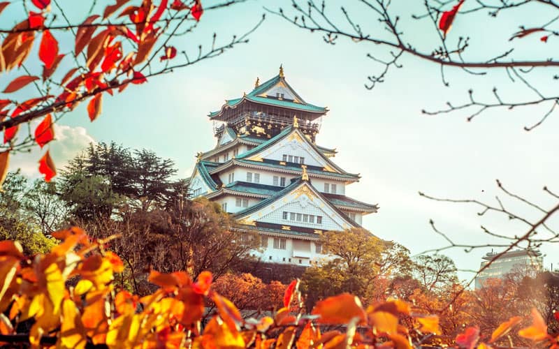 Osaka Castle Main Tower Autumn Leaves